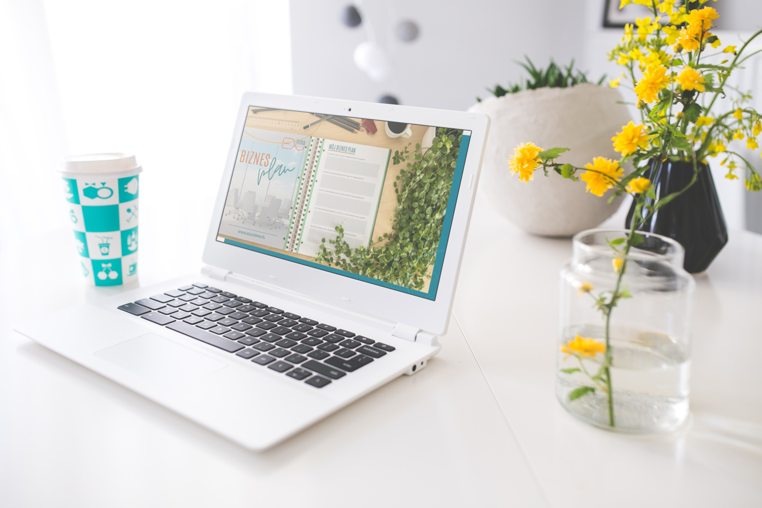 ilona klein tragier wirtualna asystentka strony www project manager 9